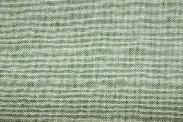 Leinen-/ Baumwollgemisch Essex Yarn Dyed  Seafoam (10 cm)